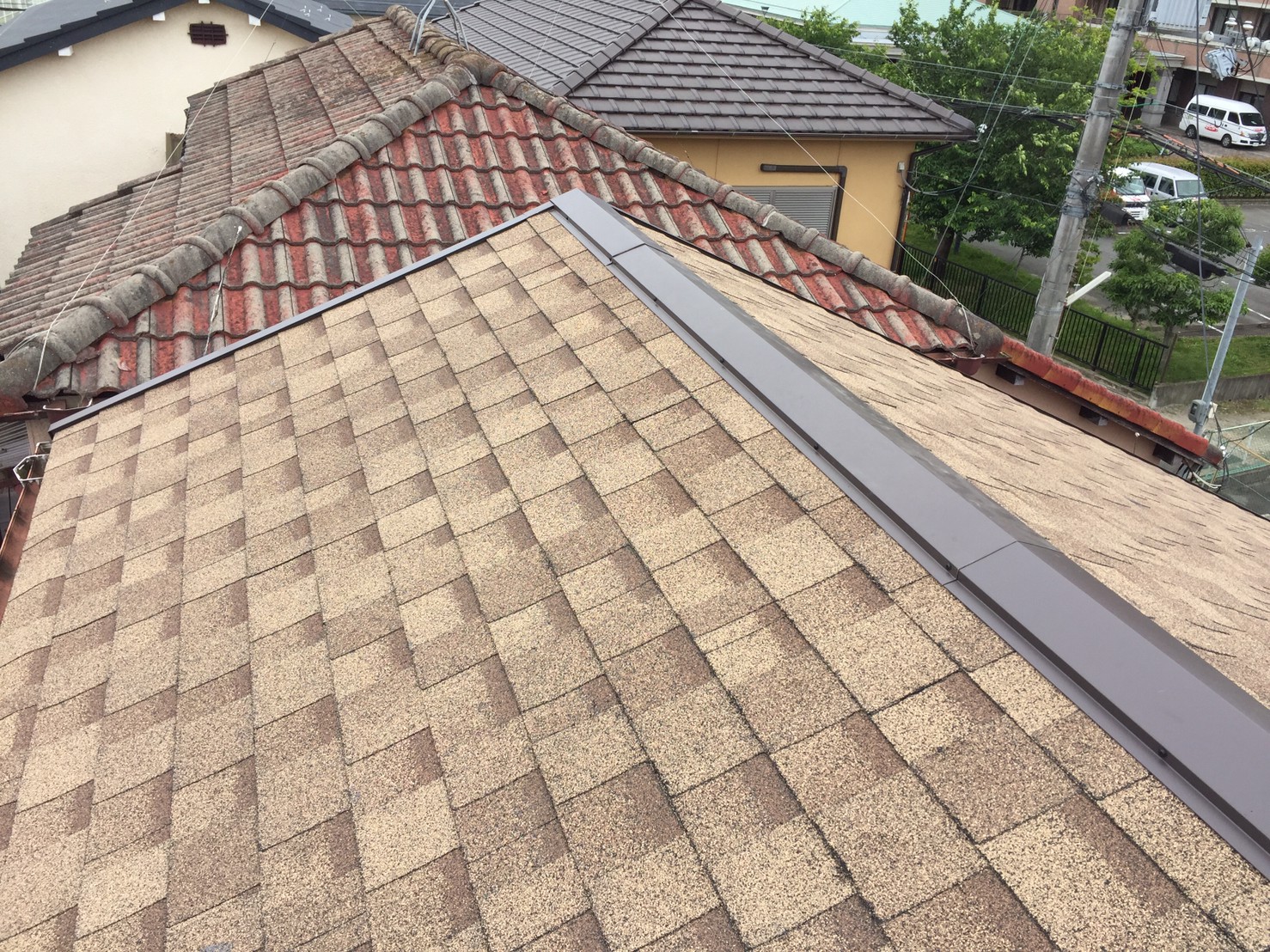 リッジウェイアーストシーダー